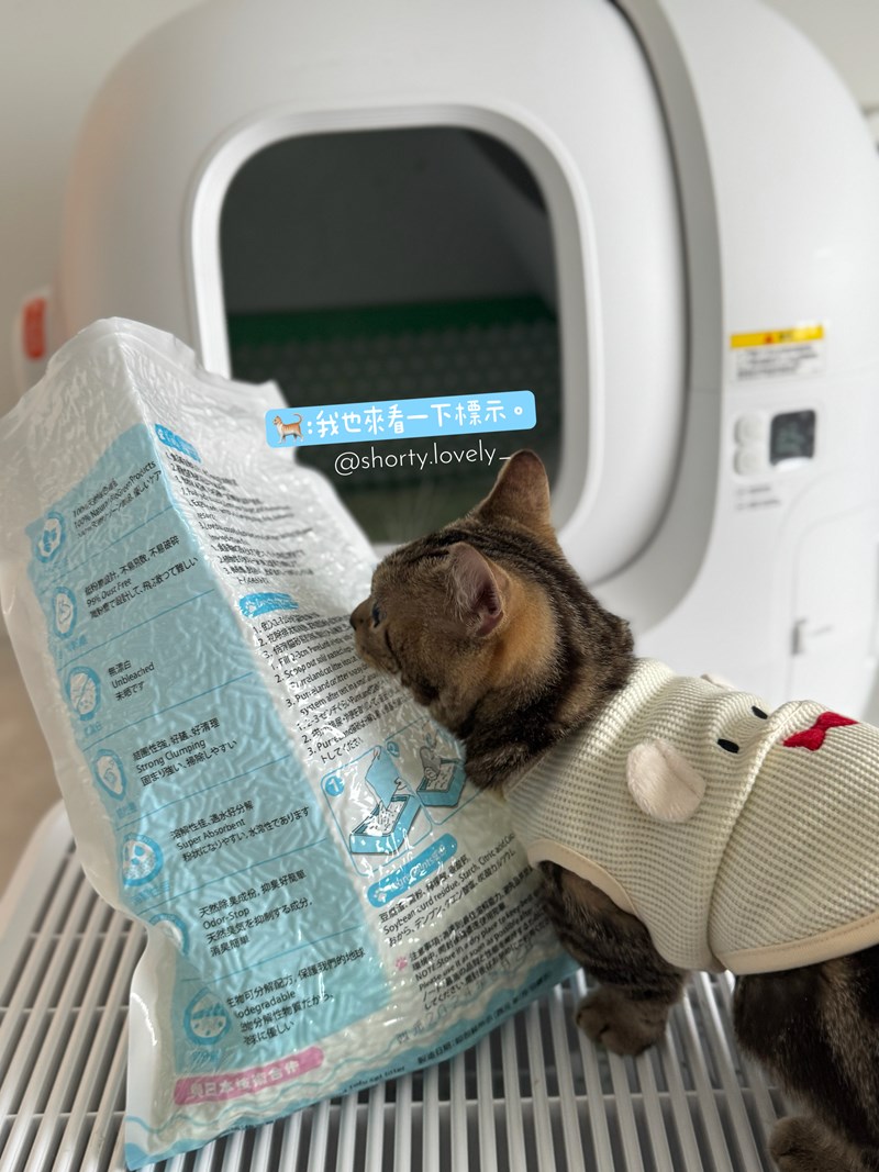 女人知己試用大隊,口碑行銷,部落客行銷,PurreLand 倍淨豆腐貓砂,好市多購買,COSTCO購買,豆腐貓砂,PurreLand倍淨,低粉塵,易清理,可沖馬桶,提供絕佳的除臭與凝結力,豆腐貓砂評價,貓砂評價,使用心得,貓砂分享,好用,原味,綠茶,豆腐砂,水量需完全覆蓋貓砂,水量需貓砂的2~3倍以上,豆腐砂評價,高CP值,划算